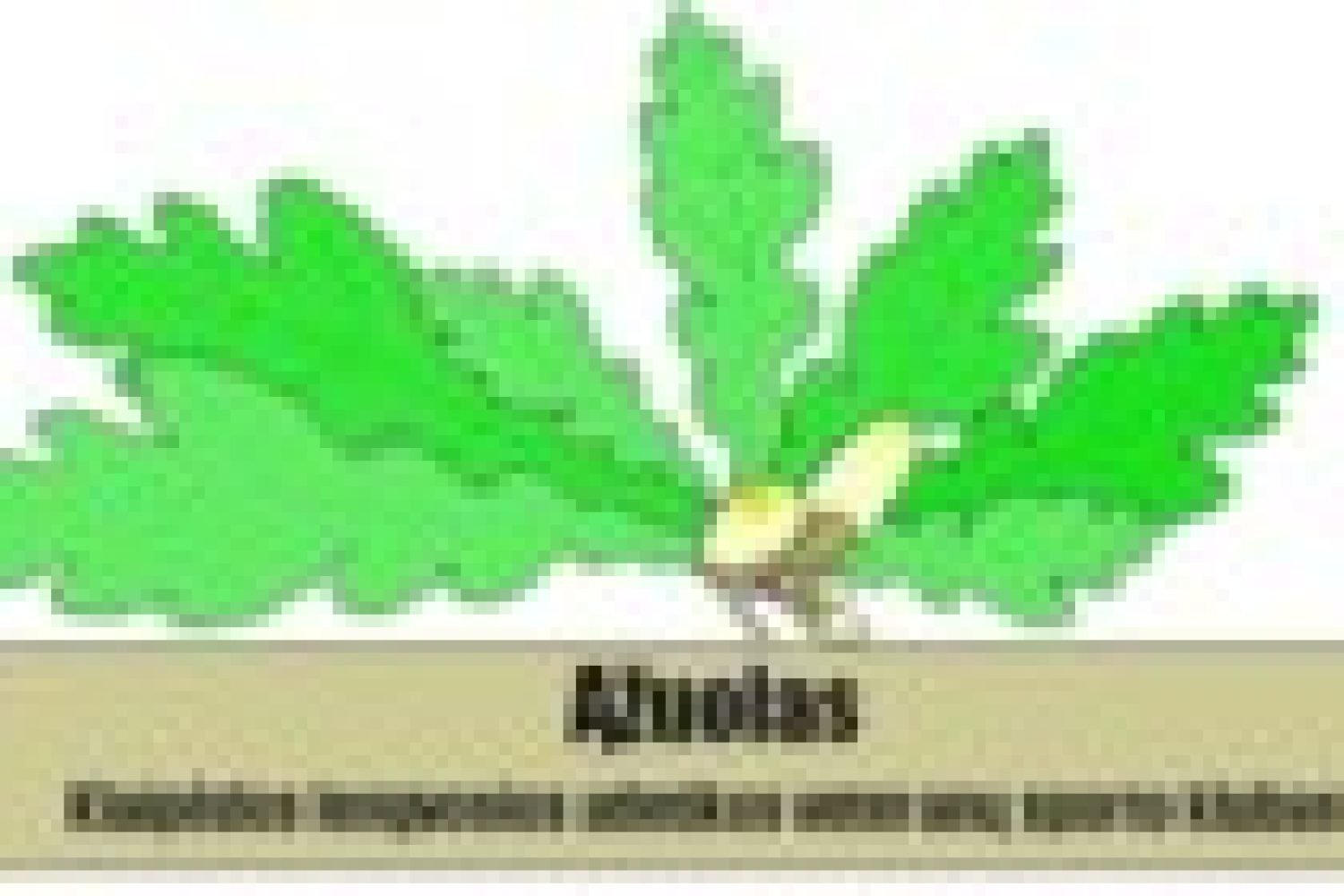 azuolas_222px