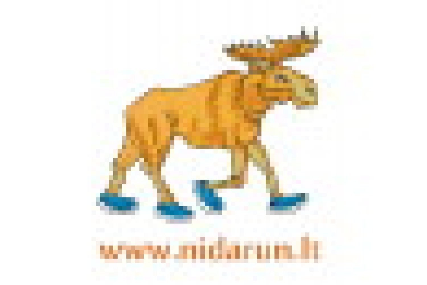 nidarun